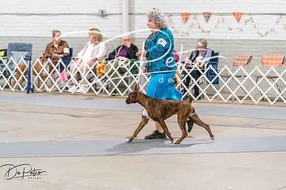 20261022-DSC00531