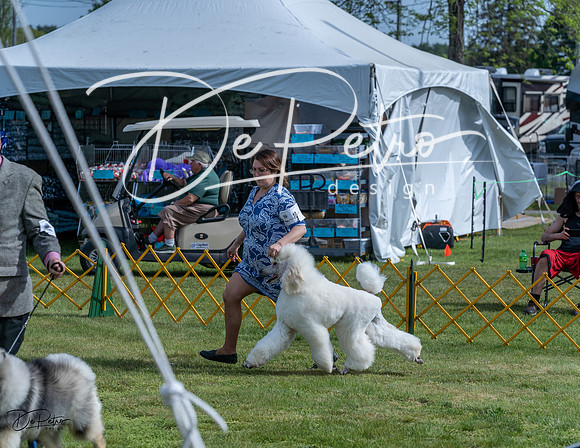 20230513-DSC00471