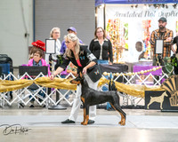20260926-DSC03947