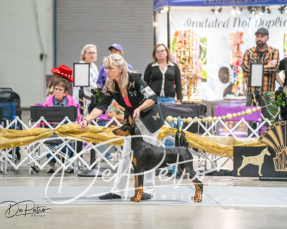 20260926-DSC03947