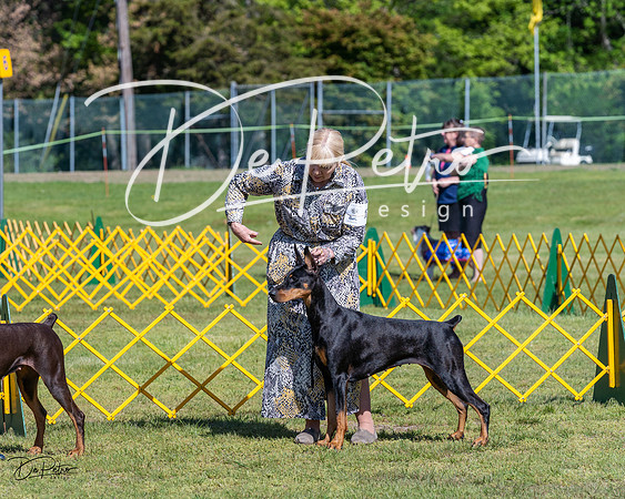 20230514-DSC02928