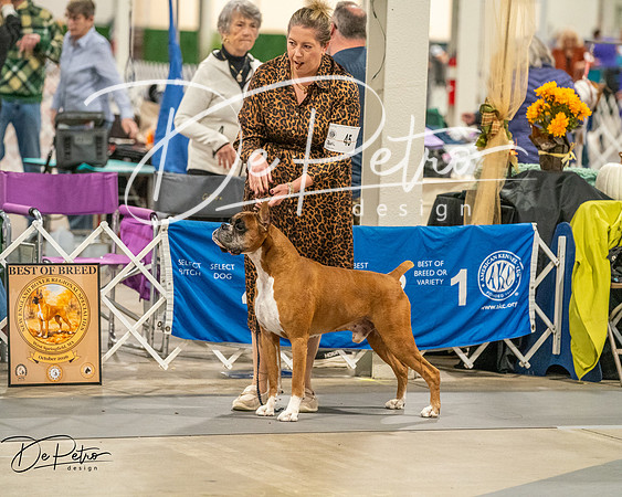 20261022-DSC02039
