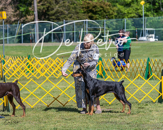 20230514-DSC02932