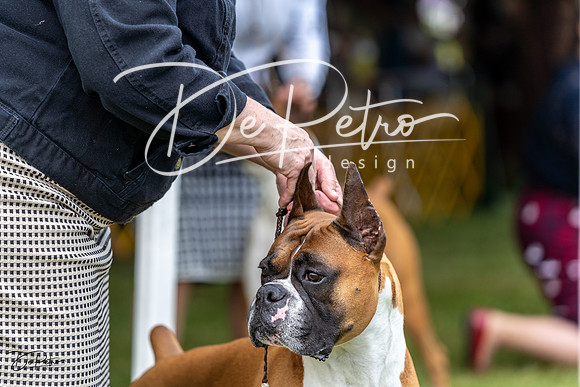 20230513-DSC07515