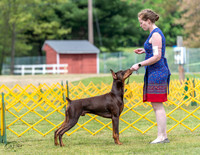 20230513-DSC08119