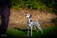 20261017-DSC08888