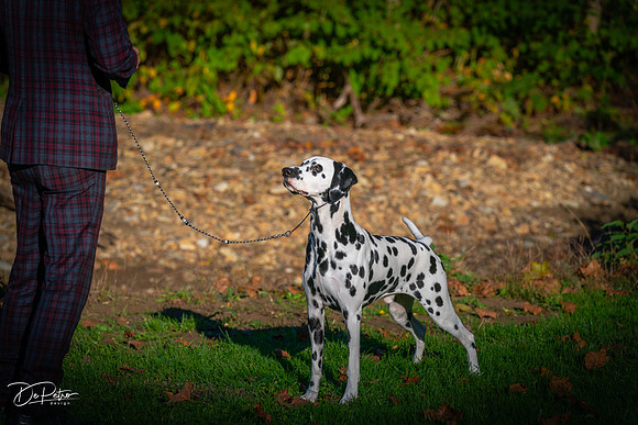 20261017-DSC08888