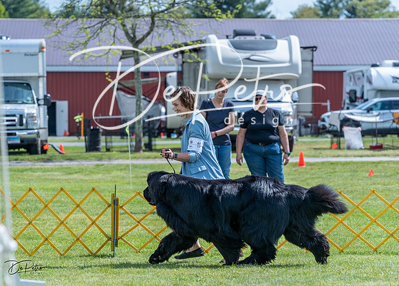 20230512-DSC05146