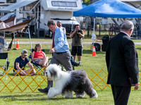 20230513-DSC01204