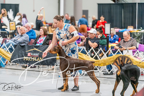 20261001-DSC07396
