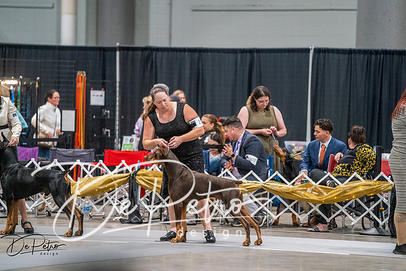 20260926-DSC04220