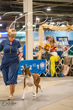 20261022-DSC01812