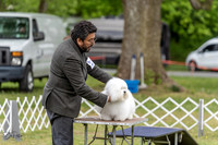 20230427-DSC05402