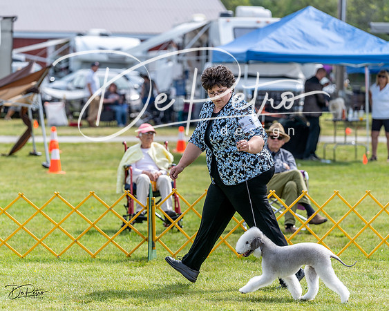 20230513-DSC00002