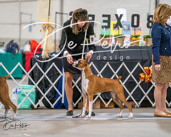 20261022-DSC03124