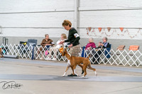 20261022-DSC00056