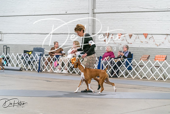 20261022-DSC00056