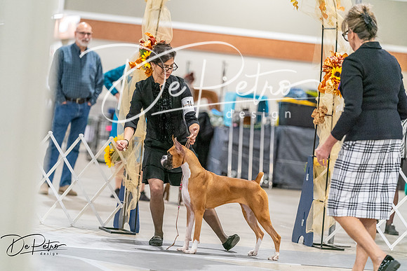 20261022-DSC00309