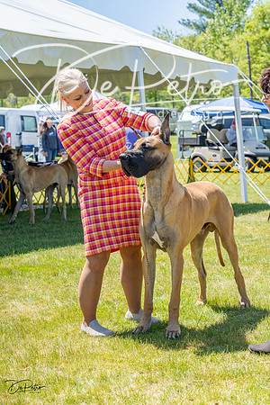 20230514-DSC07881