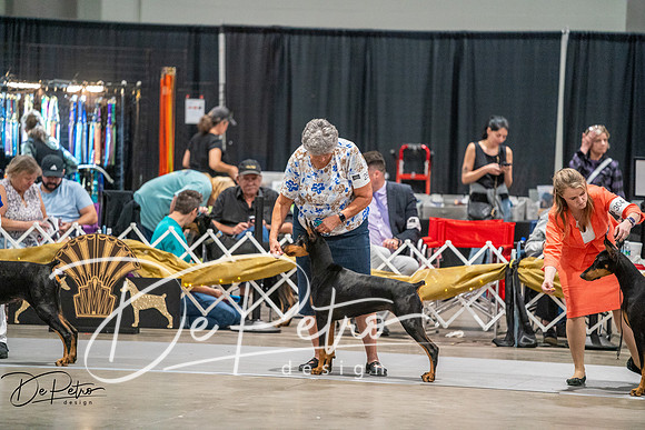 20260926-DSC04563