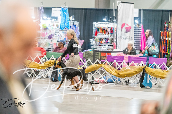 20261001-DSC07275