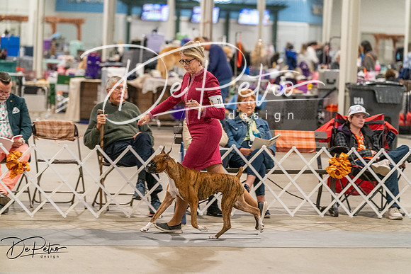 20261023-DSC05168