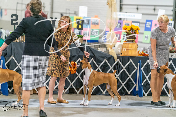 20261022-DSC00232