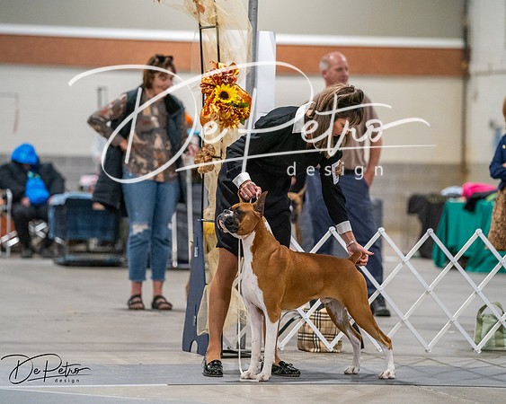 20261022-DSC02856