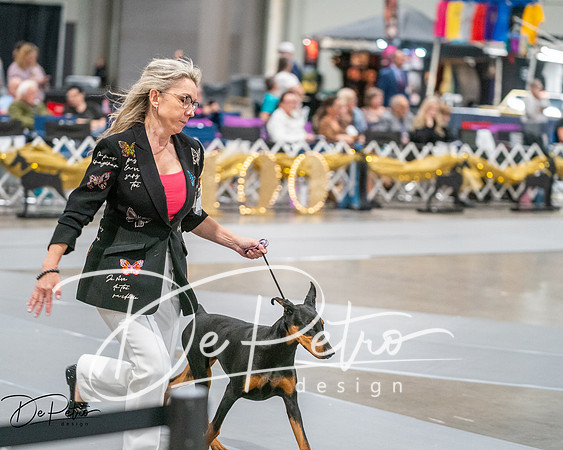 20260926-DSC03944