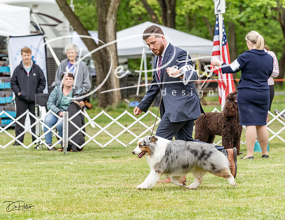 20230427-DSC07338