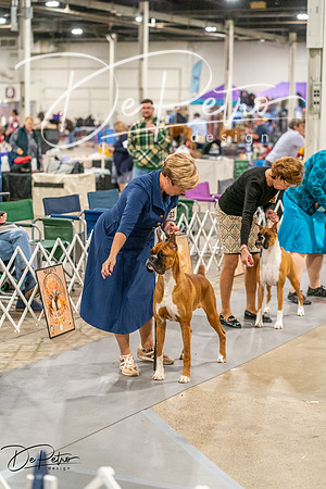20261022-DSC00359