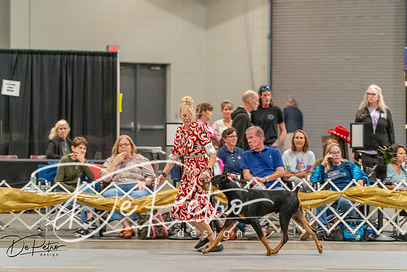 20260927-DSC05612