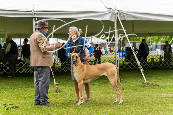 20230427-DSC02770