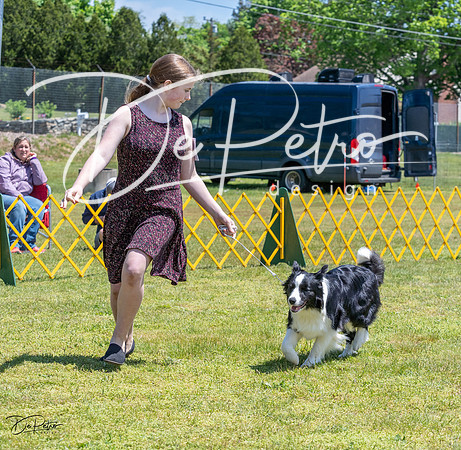 20230514-DSC04703