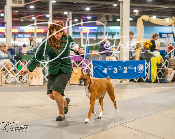 20261022-DSC01864