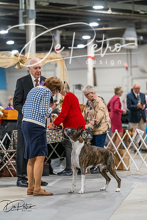 20261023-DSC05380