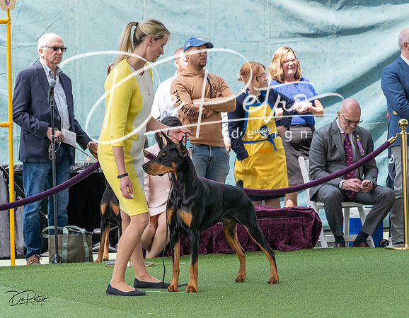 20230509-DSC01113