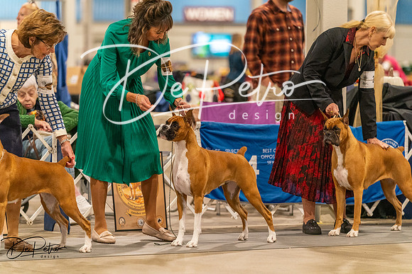20261023-DSC05503