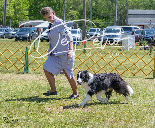 20230514-DSC05029