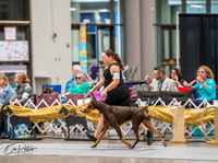 20260926-DSC03984