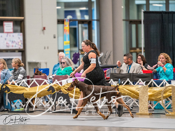 20260926-DSC03984