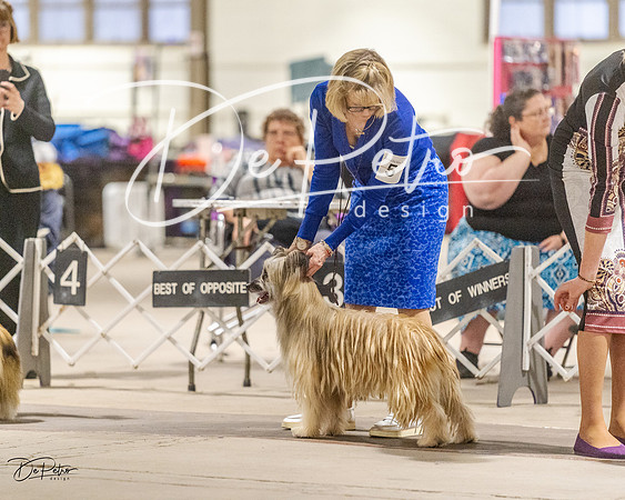 20230401-DSC08134
