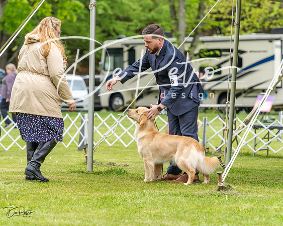 20230427-DSC03507