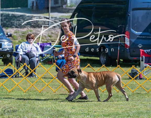 20230514-DSC03546