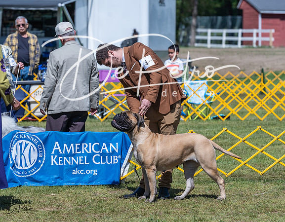 20230514-DSC03688