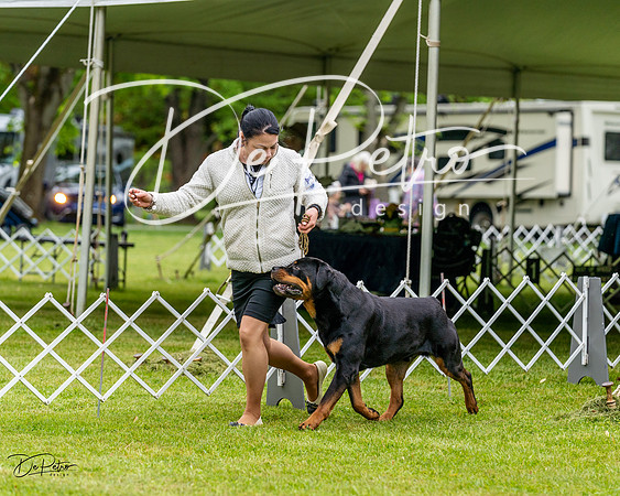 20230427-DSC02435