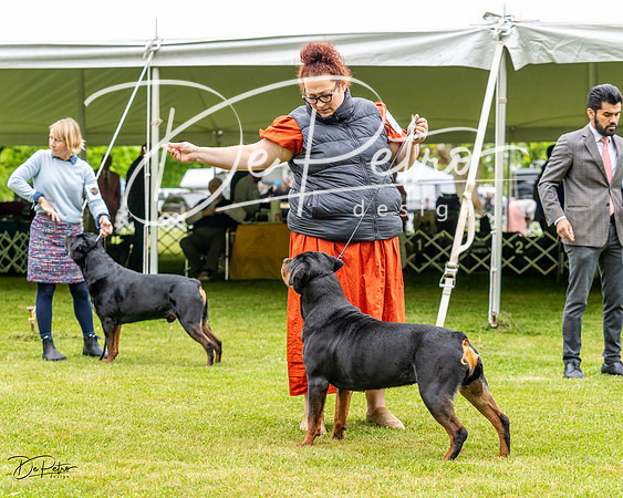 20230427-DSC02499