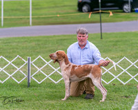 20250628-DSC07308