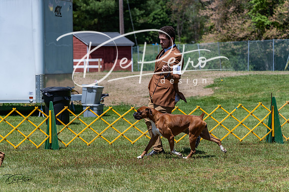20230514-DSC04566