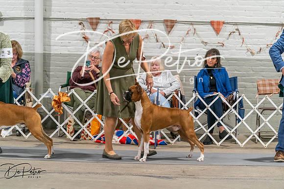 20261023-DSC05713